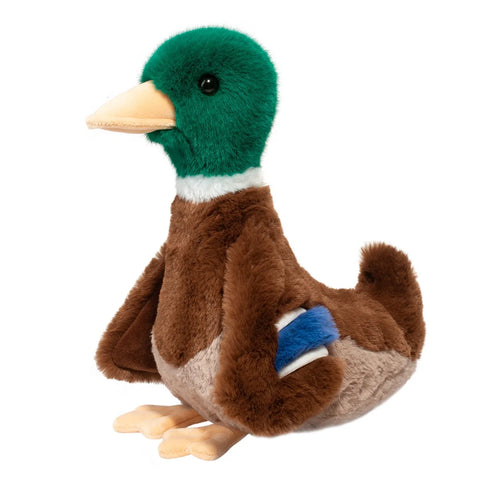 Desie Mallard Duck