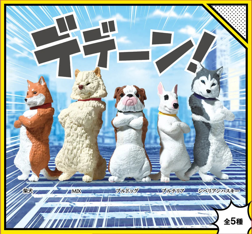 Cool Dogs Blind Box