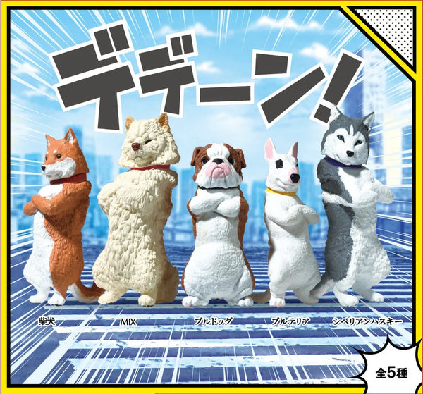 Cool Dogs Blind Box