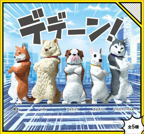 Cool Dogs Blind Box