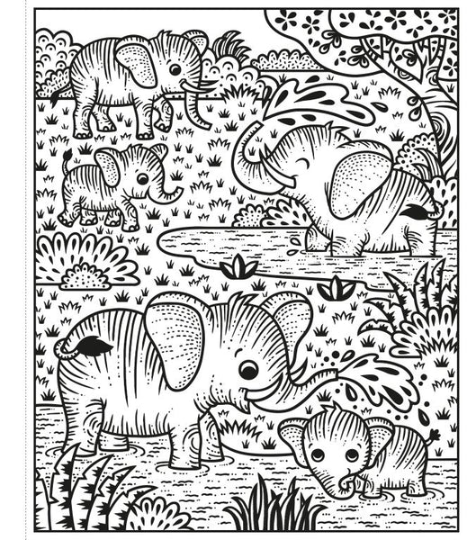 Zoo Magic Paint Book