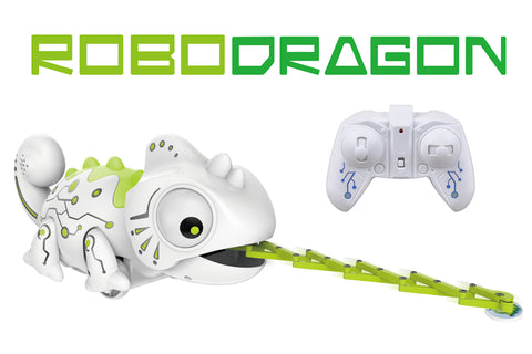Robodragon RC