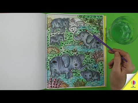 Zoo Magic Paint Book