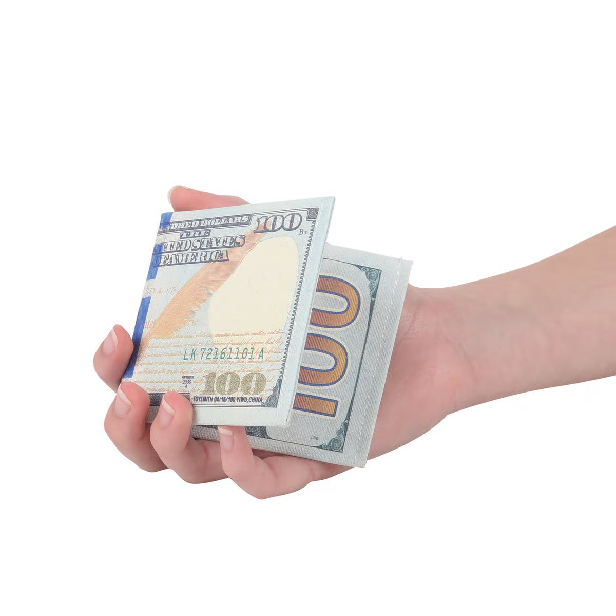 Dollar Bill Wallet
