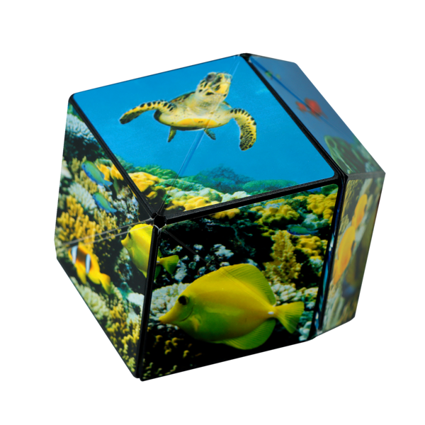 Shashibo- The Shape Shifting Box- Undersea