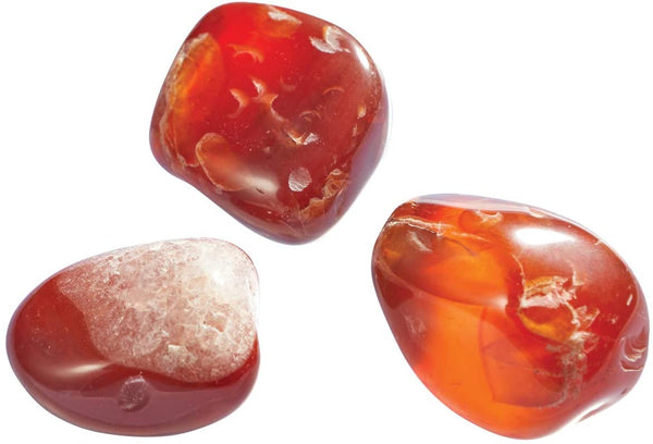 Dig It Up! Giant Gem Discovery